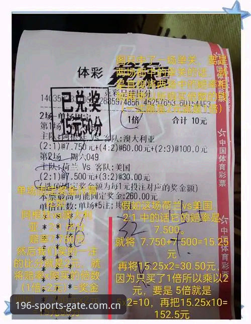196体育竞彩投注深度评测：从数据洞察到玩法创新的全面体验报告